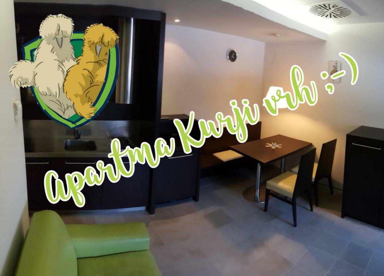 Apartma Kurji Vrh - Chicken Top 克拉尼斯卡戈拉 外观 照片
